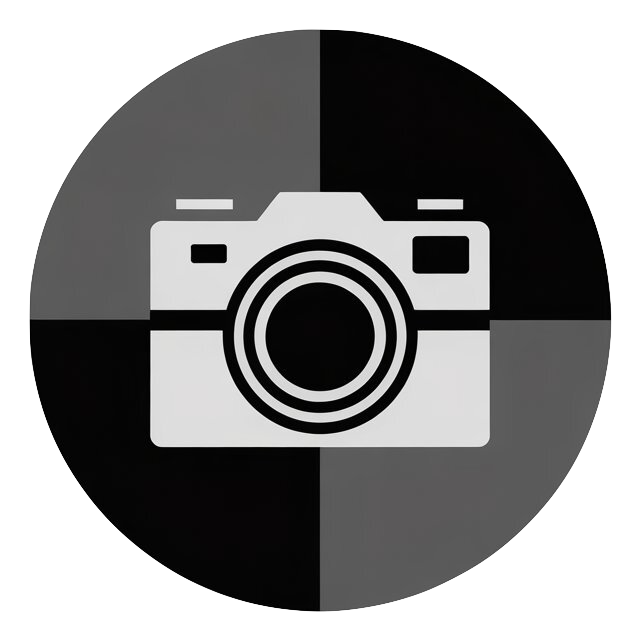 Black and White Image - Free Online Photo Converter